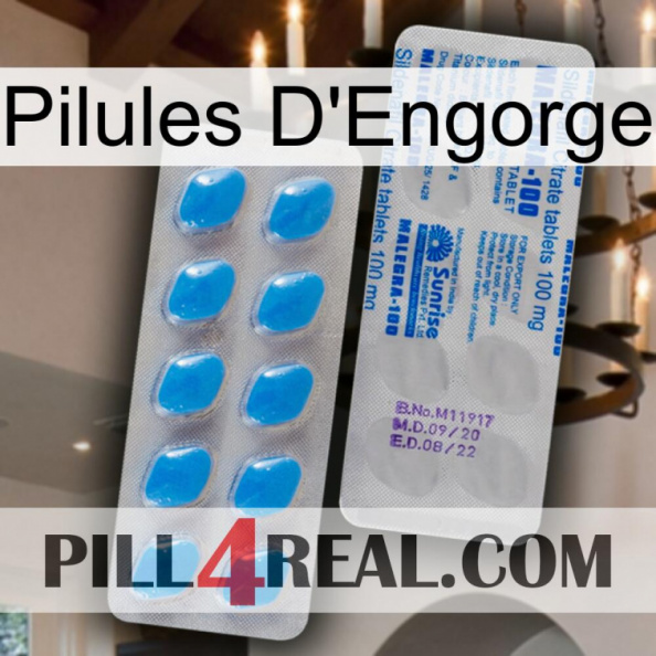 Engorge Pills new15